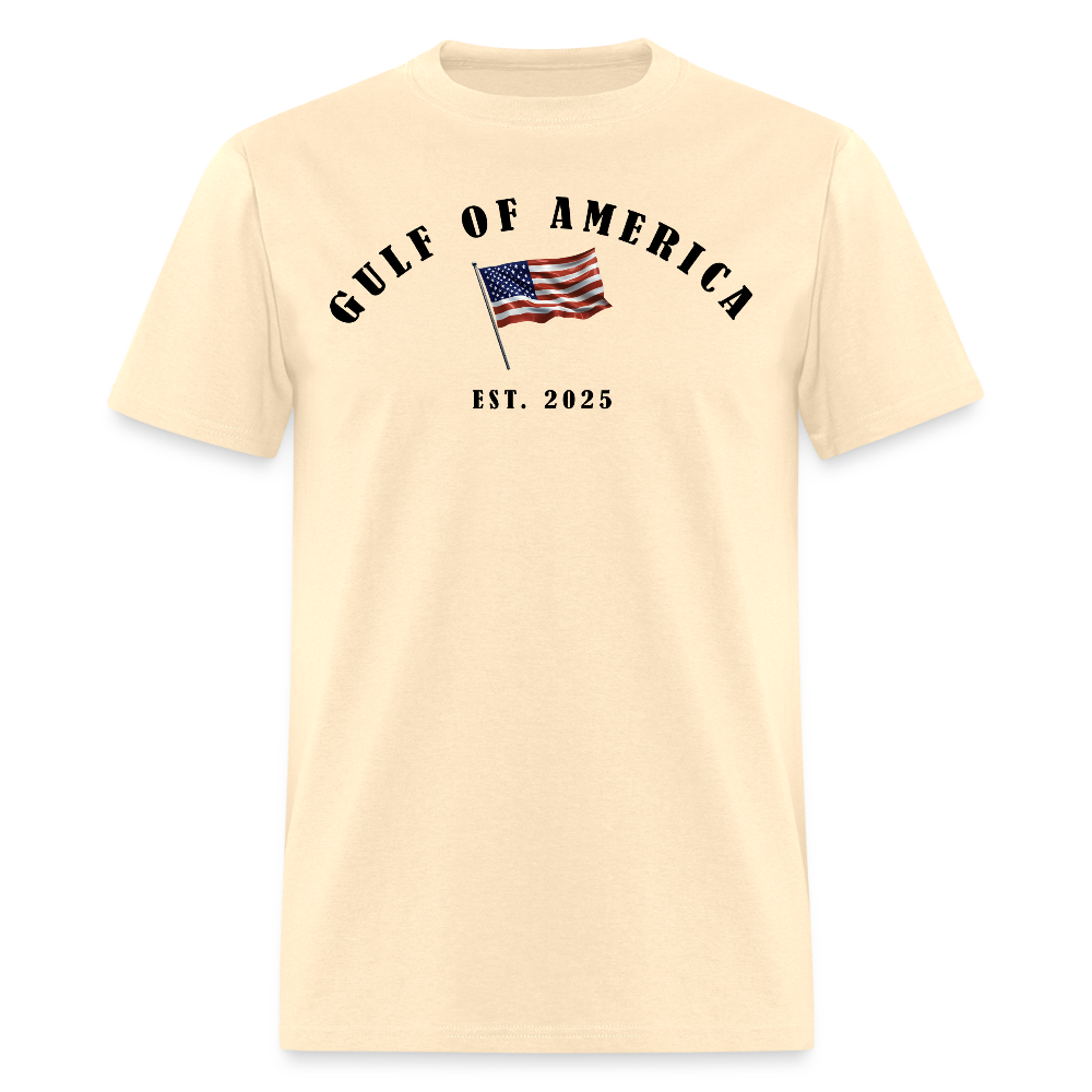 Gulf of America Vintage Flag T Shirt