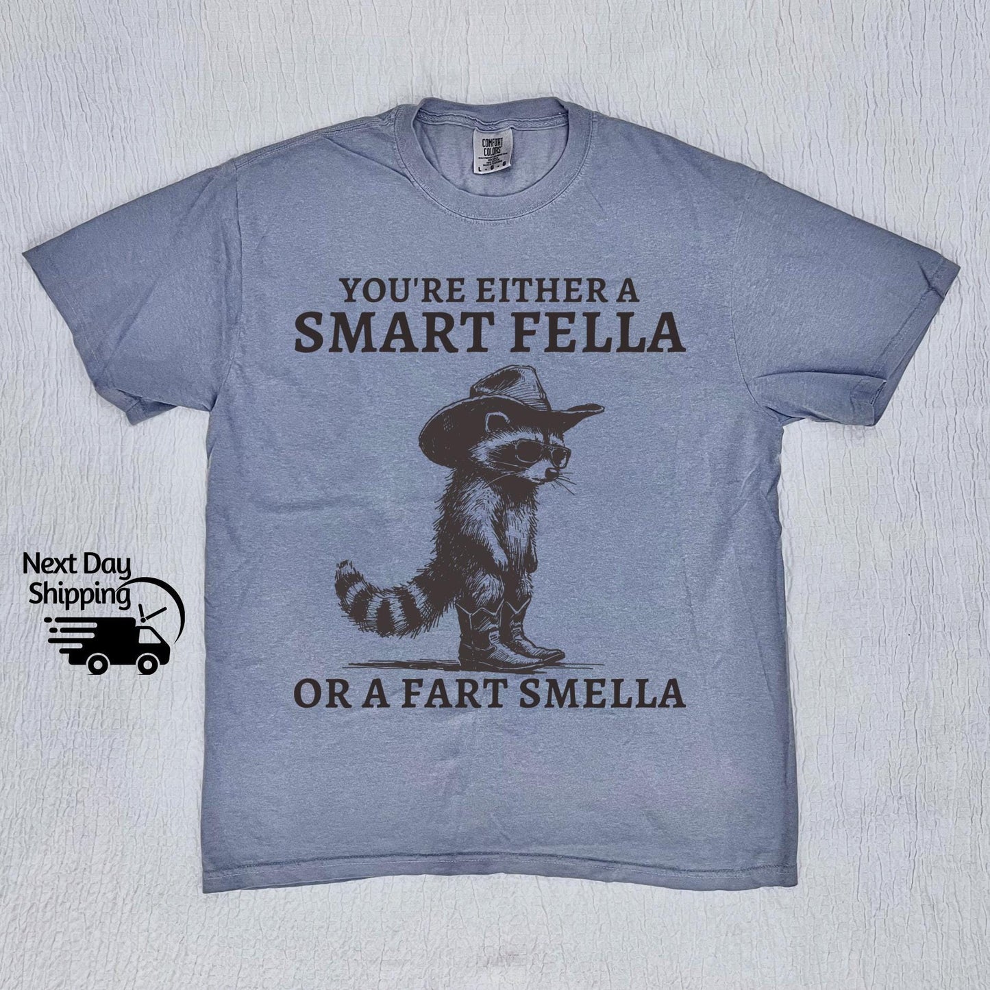 Retro Smart Fella Raccoon 90s Raccoon Vintage Vintage 90s Washed Vintage Distressed (5)
