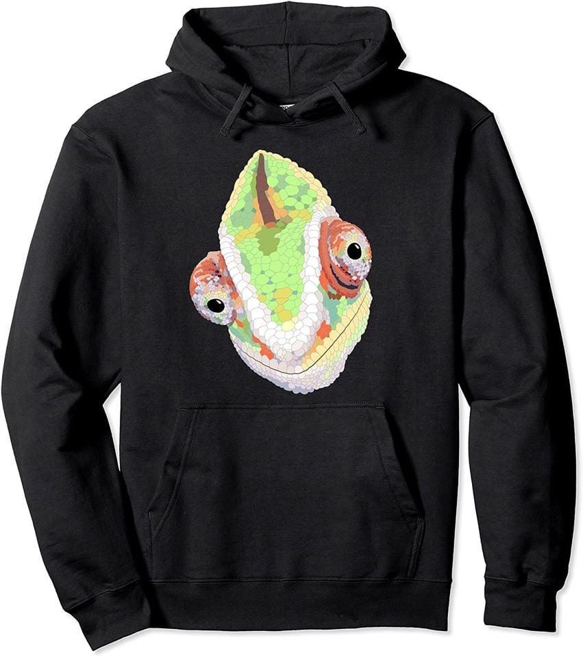 Chameleon Pullover Hoodie