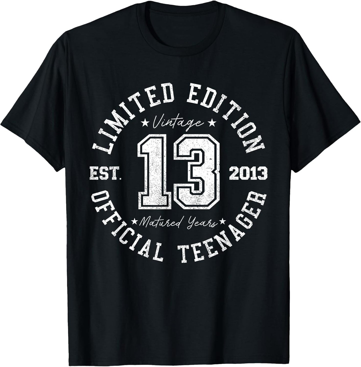 Official Teenager 13th Birthday 13 Years Old 2013 T-Shirt