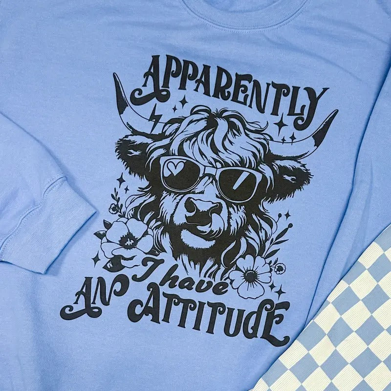 Attitude Graphic Pullover