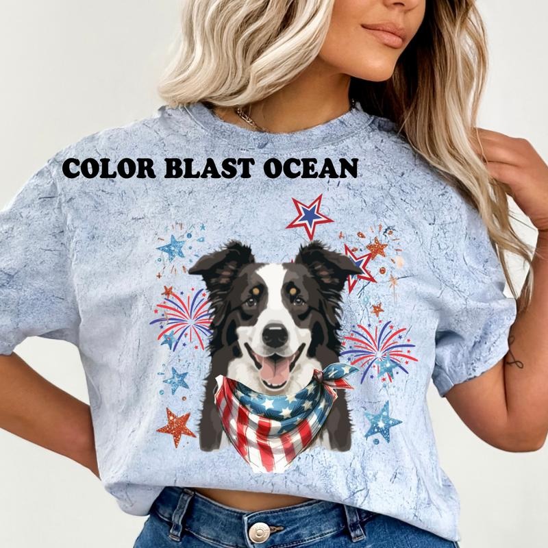 BORDER COLLIE Patriotic Dog Shirt ~ Unisex Apparel Relaxed Fit Printed In The USA Clothing Womenswear Casual Comfort...