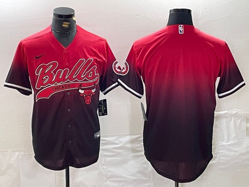 Chicago Bulls nba Collaboration Style 3