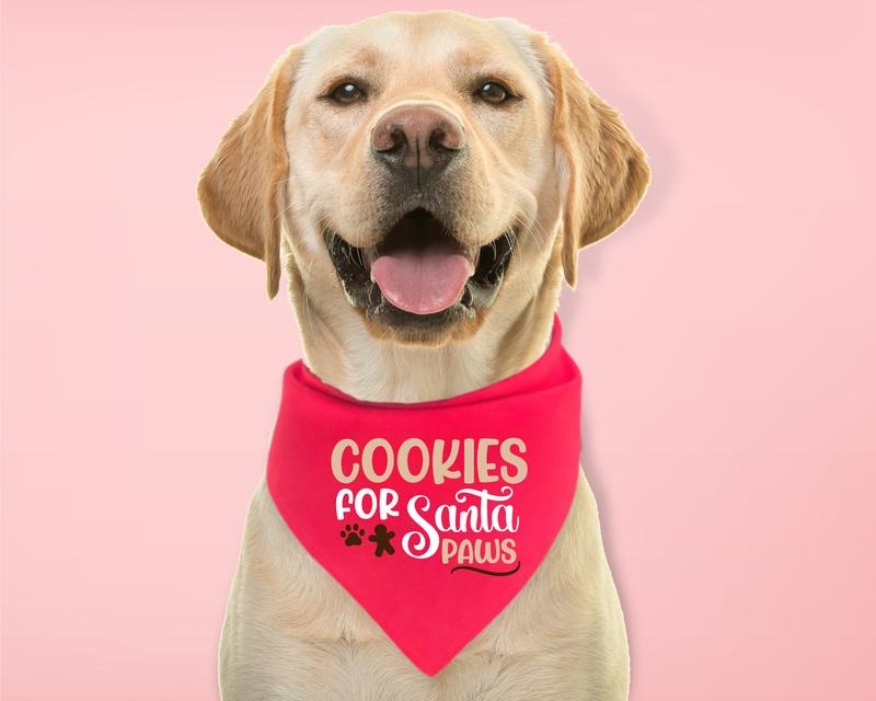 Cookies For Santa Paws Bandana, Christmas Dog Bandana, Cute Puppy Neck Scarf, Pet Gift Accessories, Dog Holiday Bandana....