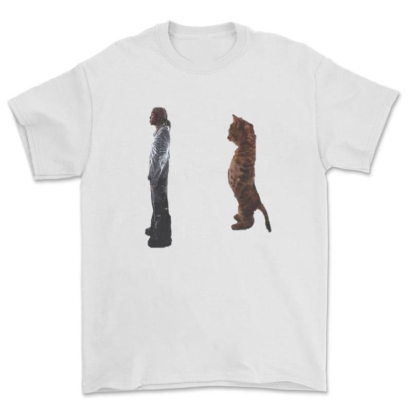Destroy Lonely Standing Cat Funny T-Shirt Hoodie, Sweatshirt | InkThreadWorks.com