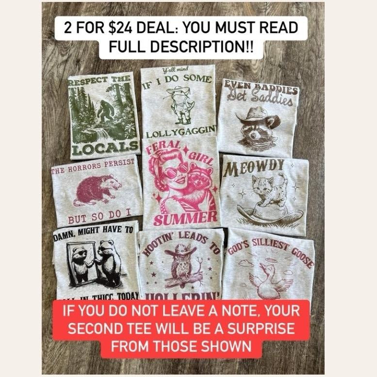 FUNNY SHIRTS VERSION 2 - 2 for 24 - Graphic Tee Bundle - Choose Your Designs- LEAVE DESIGN CHOICE AT CHECKOUT - SET B