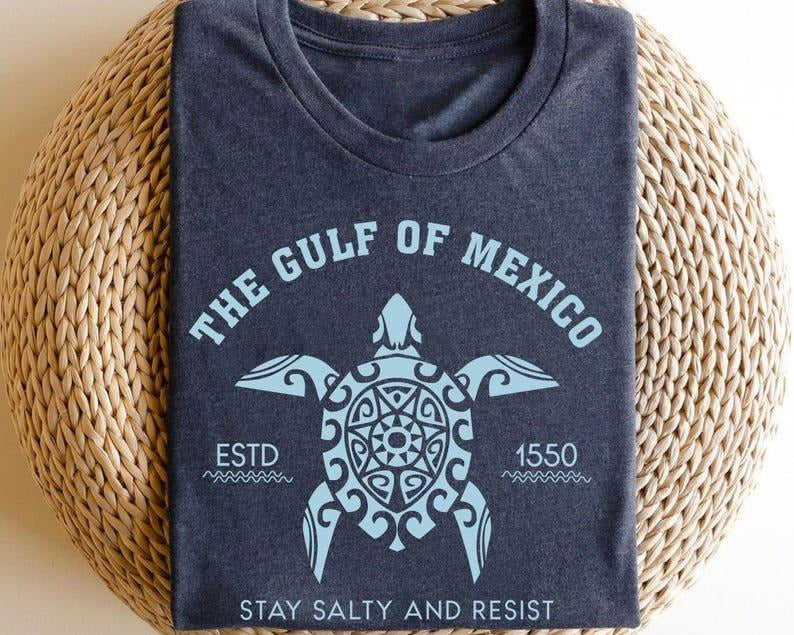 Gulf of Mexico Stay Salty Resistance Shirt, Resist Shirts, Democrat T-Shirt, Democrat Gift, For Men, For WOmen Hoodie,...
