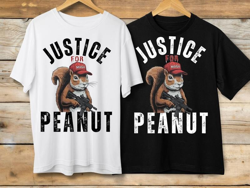 Justice for Peanut Shirt, Peanut the Squirrel Shirt, Squirrel Lover Gift, Save Squirrel Gift Hoodie, Sweatshirt