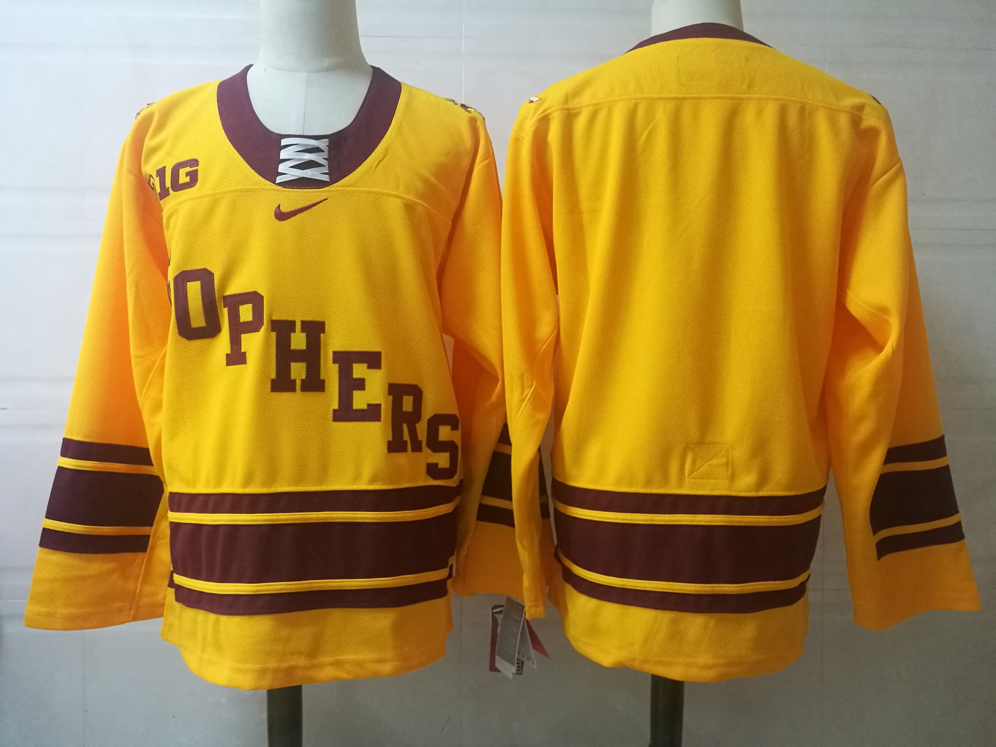 Minnesota Golden Gophers Hockey Blank Style 1
