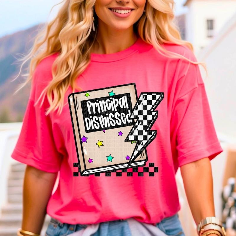 Principal Book DTF Transfers - THIS IS NOT A SHIRT Hoodie, Sweatshirt | InkThreadWorks.com