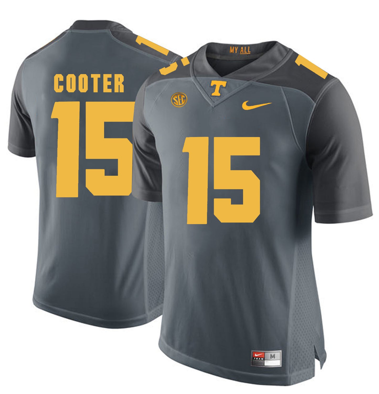 Tennessee Cooter 15 Grey