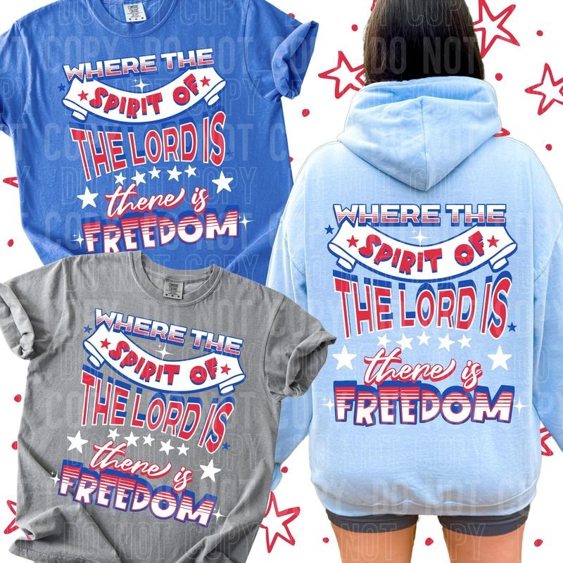 There is Freedom DTF Transfers - THIS IS NOT A SHIRT Hoodie, Sweatshirt | InkThreadWorks.com