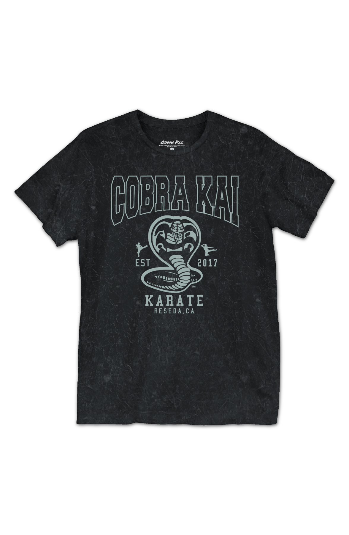 Est. 2017 Cobra Kai T-Shirt