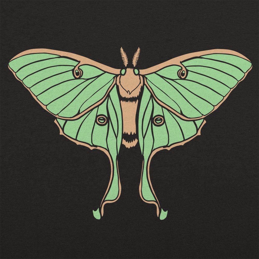 Luna Moth