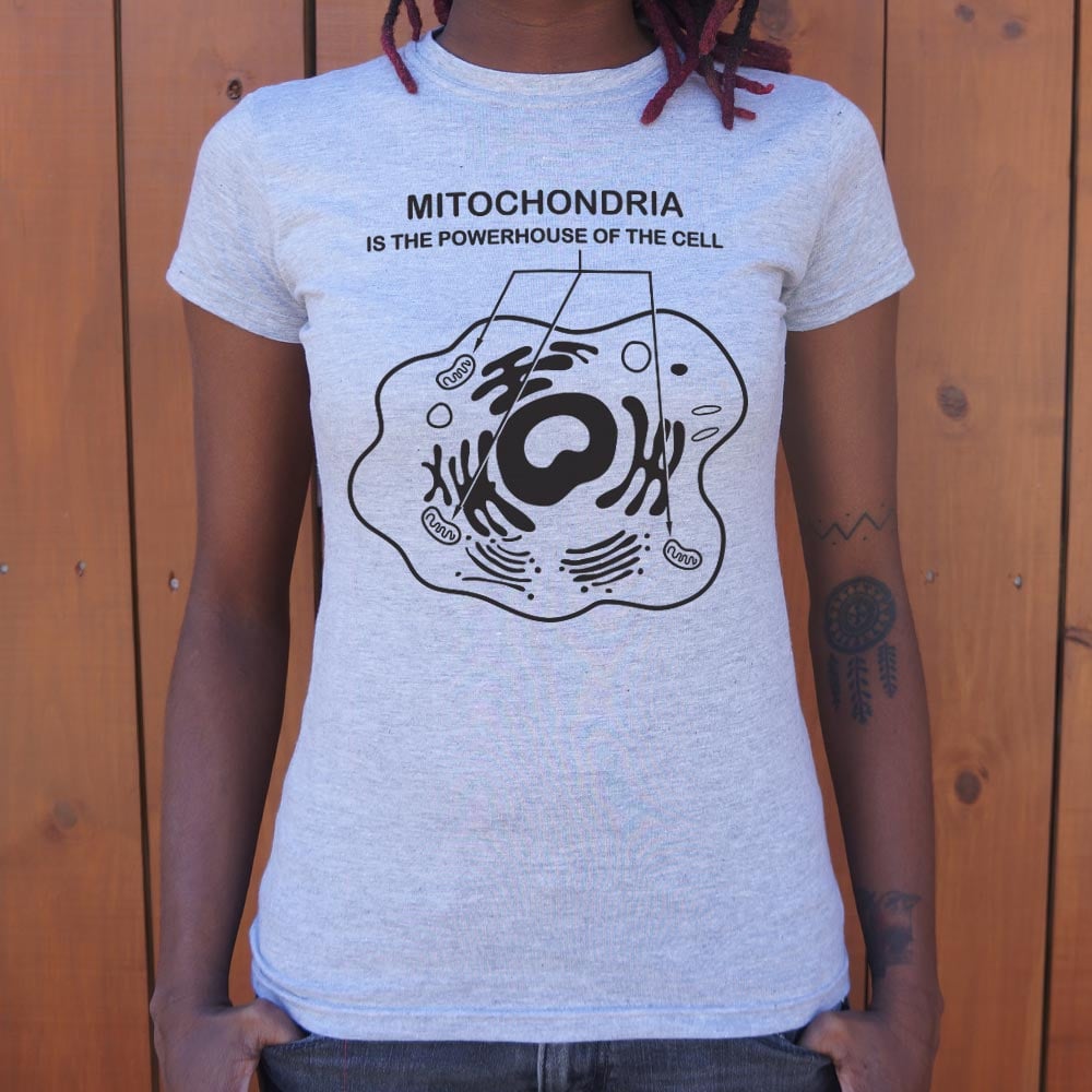 Mitochondria