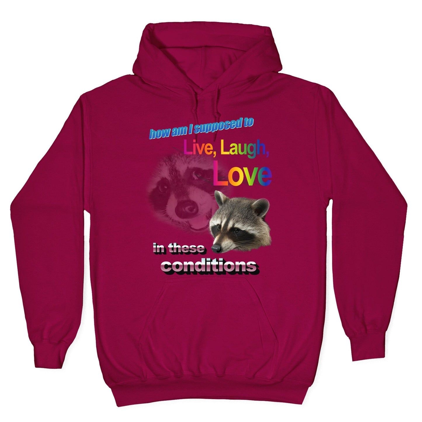 Live Laugh Love Raccoon Hoodie