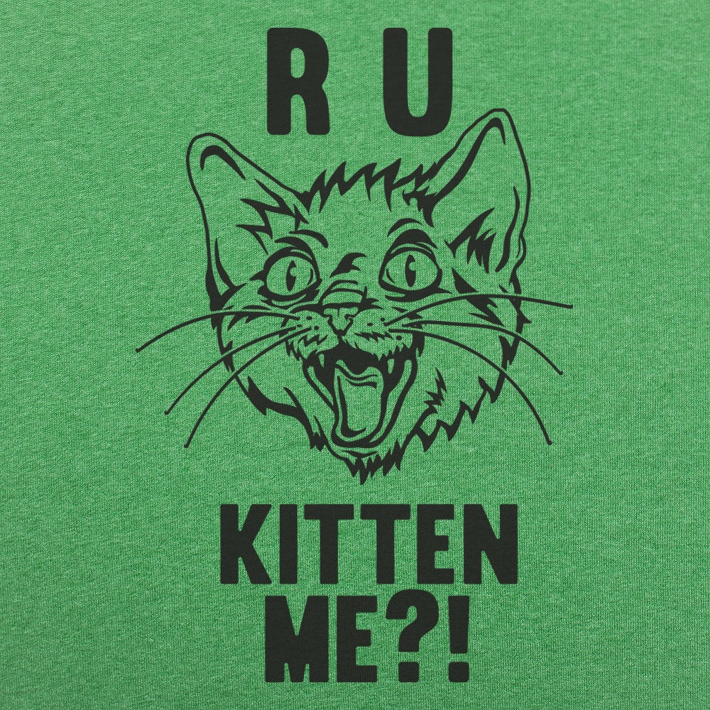 R U Kitten Me?