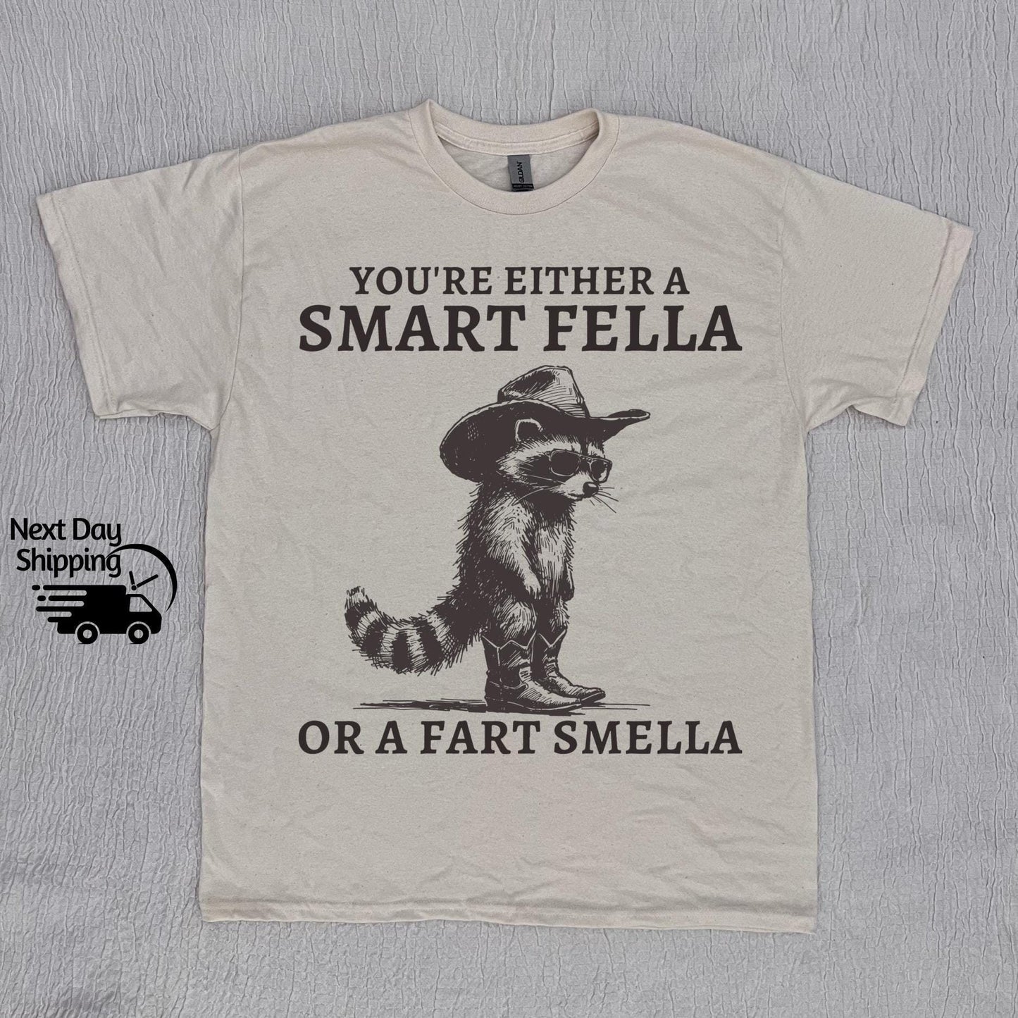 Retro Smart Fella Raccoon 90s Raccoon Vintage Vintage 90s Washed Vintage Distressed (1)