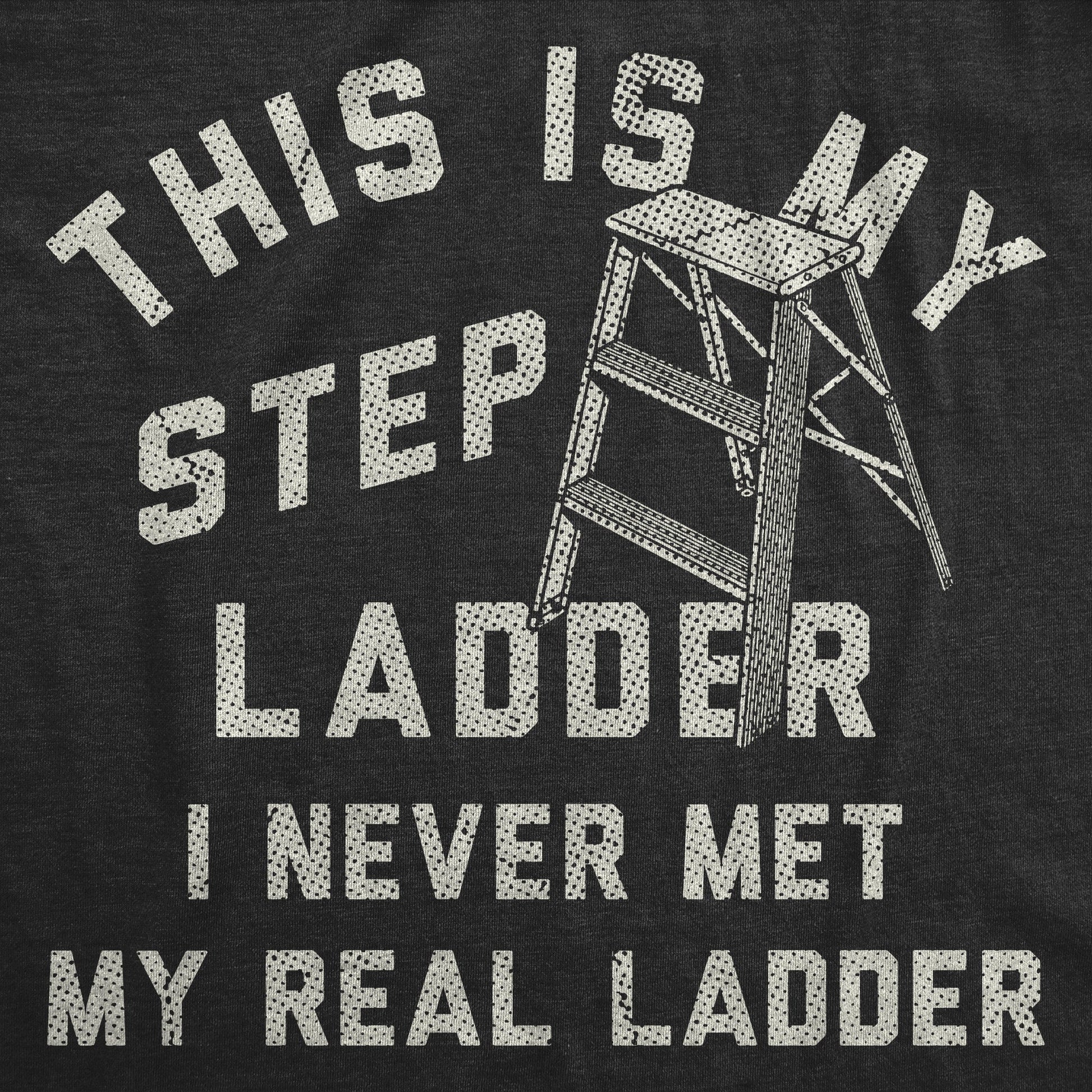 This Is My Step Ladder Men's T Shirt Hoodie, Sweatshirt | InkThreadWorks.com (Image 2)