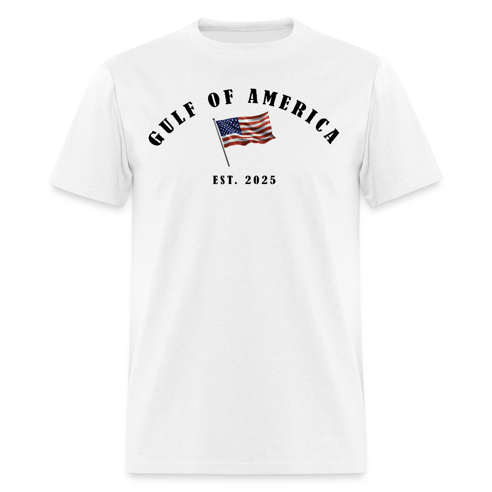 Gulf of America Vintage Flag T Shirt