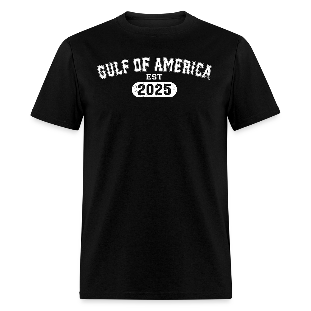 Vintage Gulf of America 2025 T Shirt