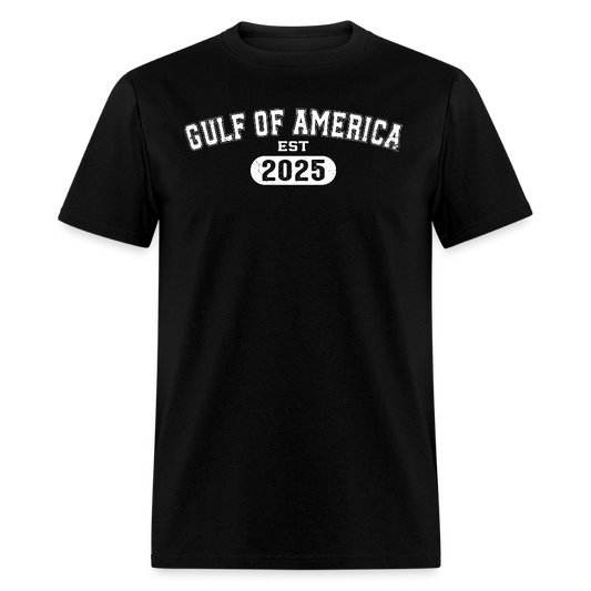 Vintage Gulf of America 2025 T Shirt