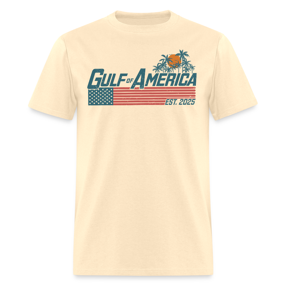 Vintage Gulf Of America Flag Est. 2025 T Shirt