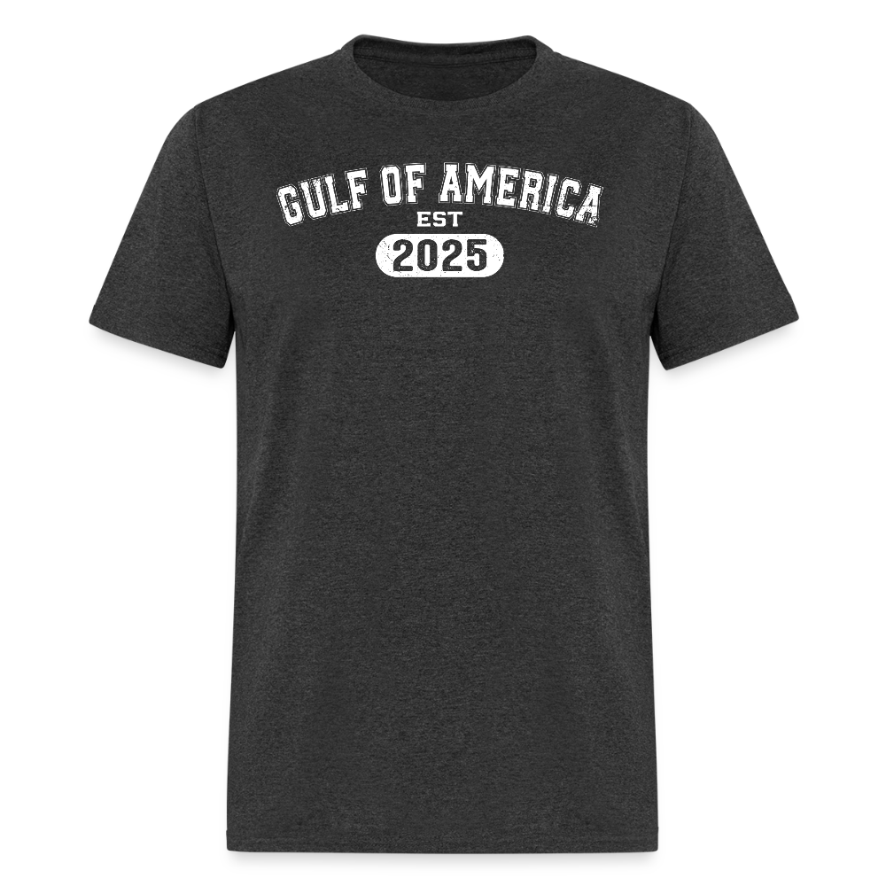 Vintage Gulf of America 2025 T Shirt