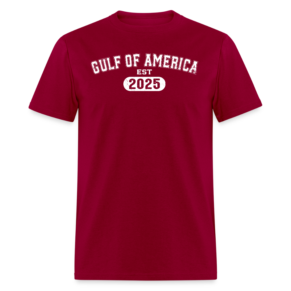 Vintage Gulf of America 2025 T Shirt