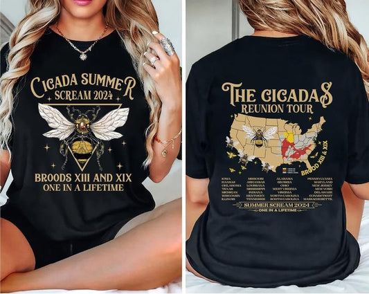 2 Sides Cicadas Reunion Tour Shirt, Cicada Concert Tour 2024 , States Of Cicada Double Brood XIII & XIX