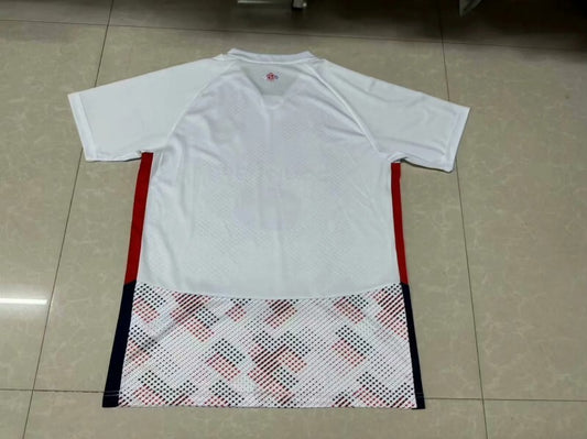 24-25 lille away soccer jersey size s-xxl Style 1