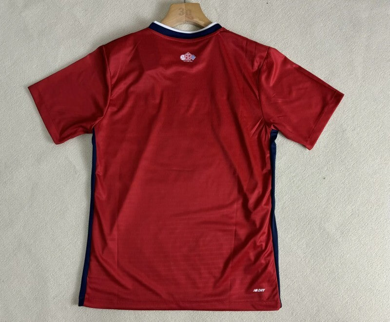 24-25 lille home soccer jersey size s-2xl Style 1