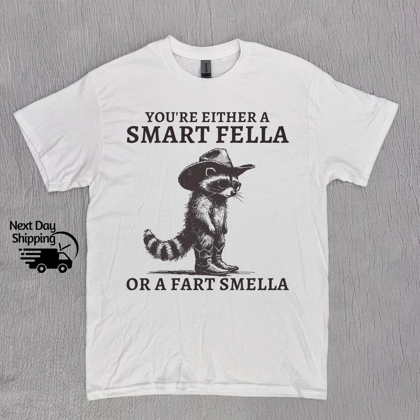Retro Smart Fella Raccoon 90s Raccoon Vintage Vintage 90s Washed Vintage Distressed (4)