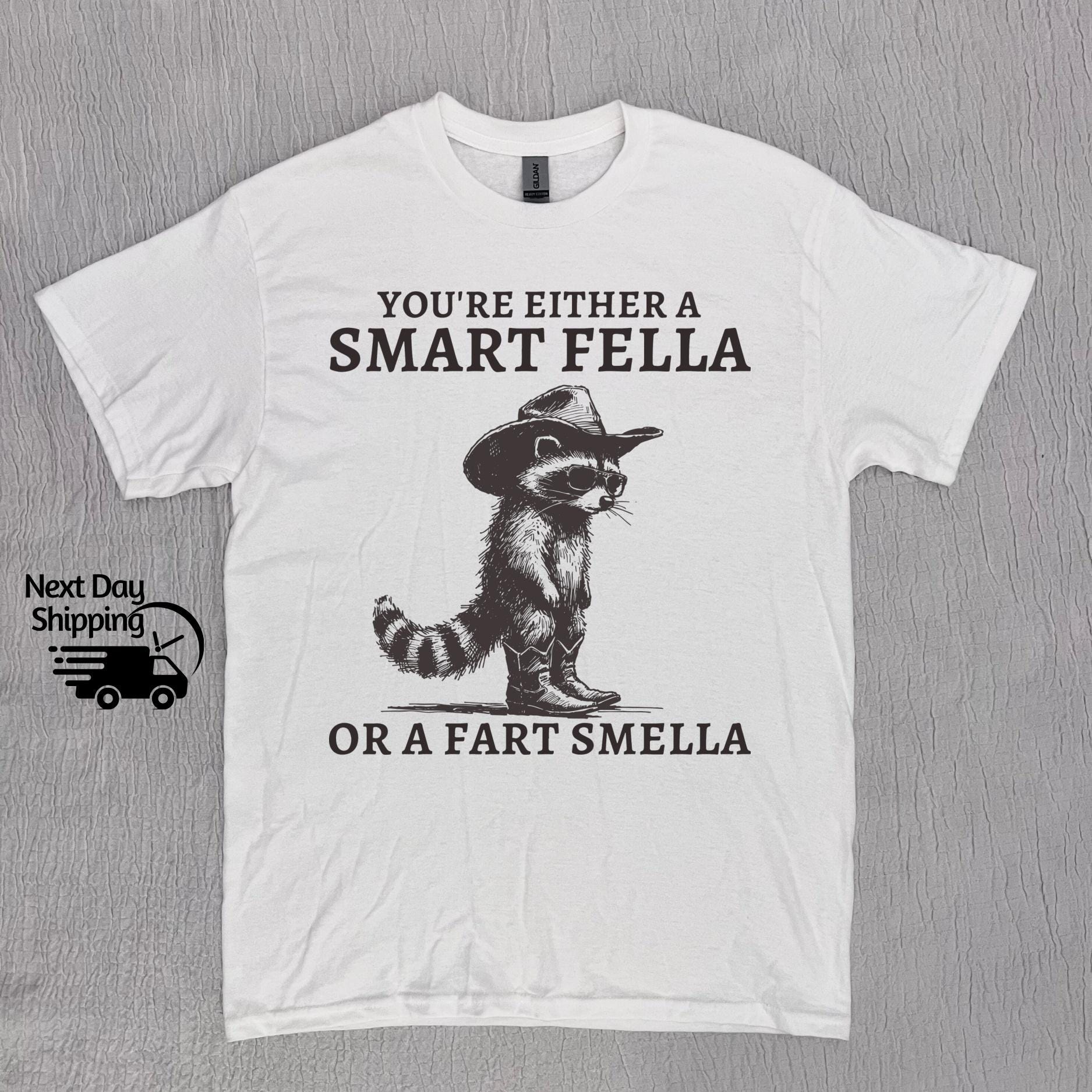 Retro Smart Fella Raccoon 90s Raccoon Vintage Vintage 90s Washed Vintage Distressed (4)