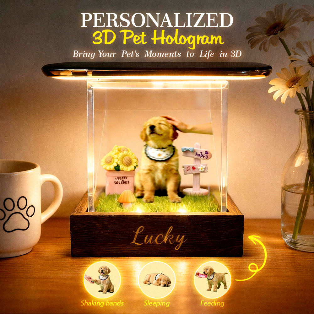 Lumina Boxes Custom Pet Digital Hologram House with Wooden Base - MyHawaiianShirts