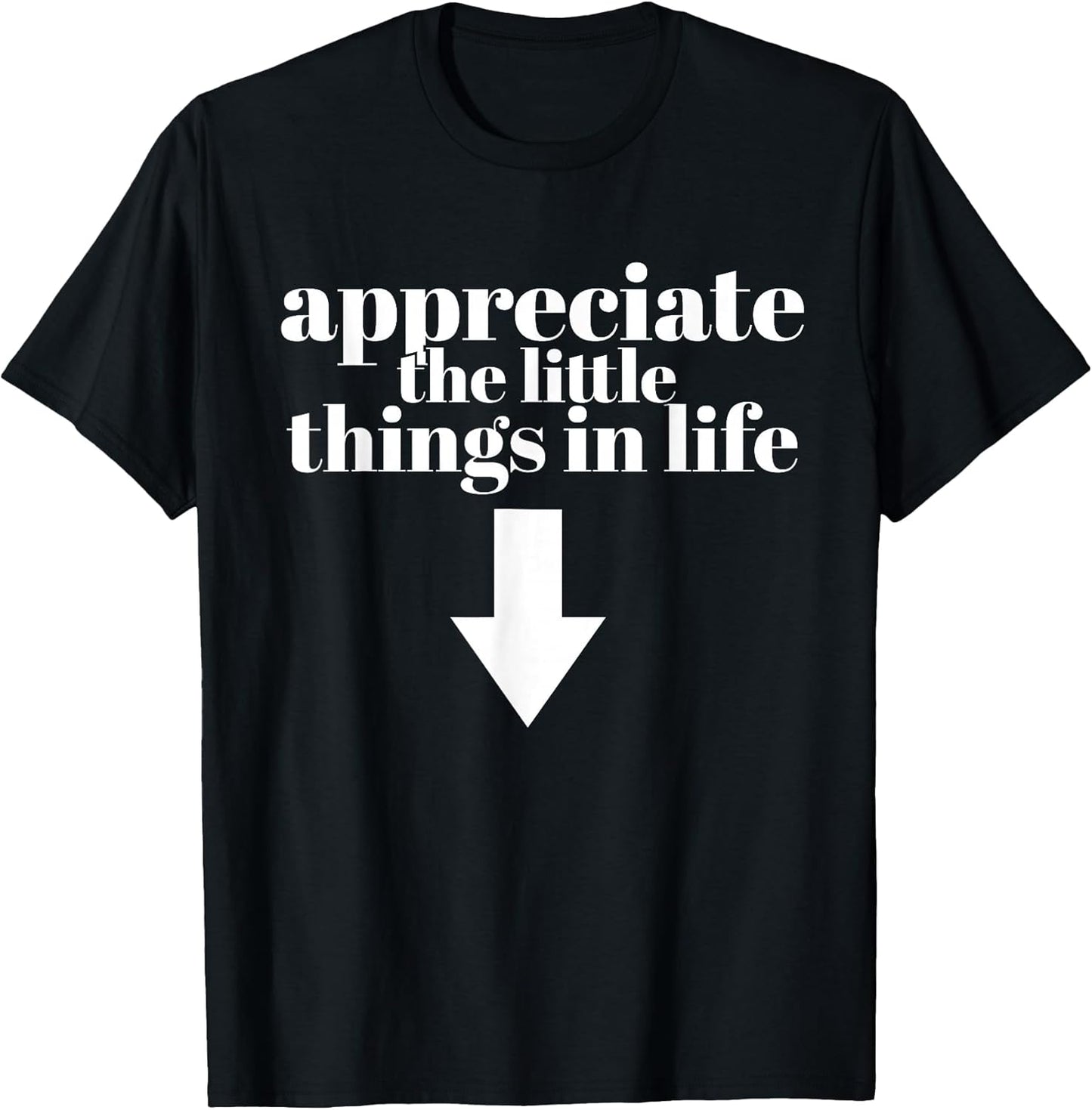 Appreciate The Little Things in Life Arrow Funny Adult Joke T-Shirt