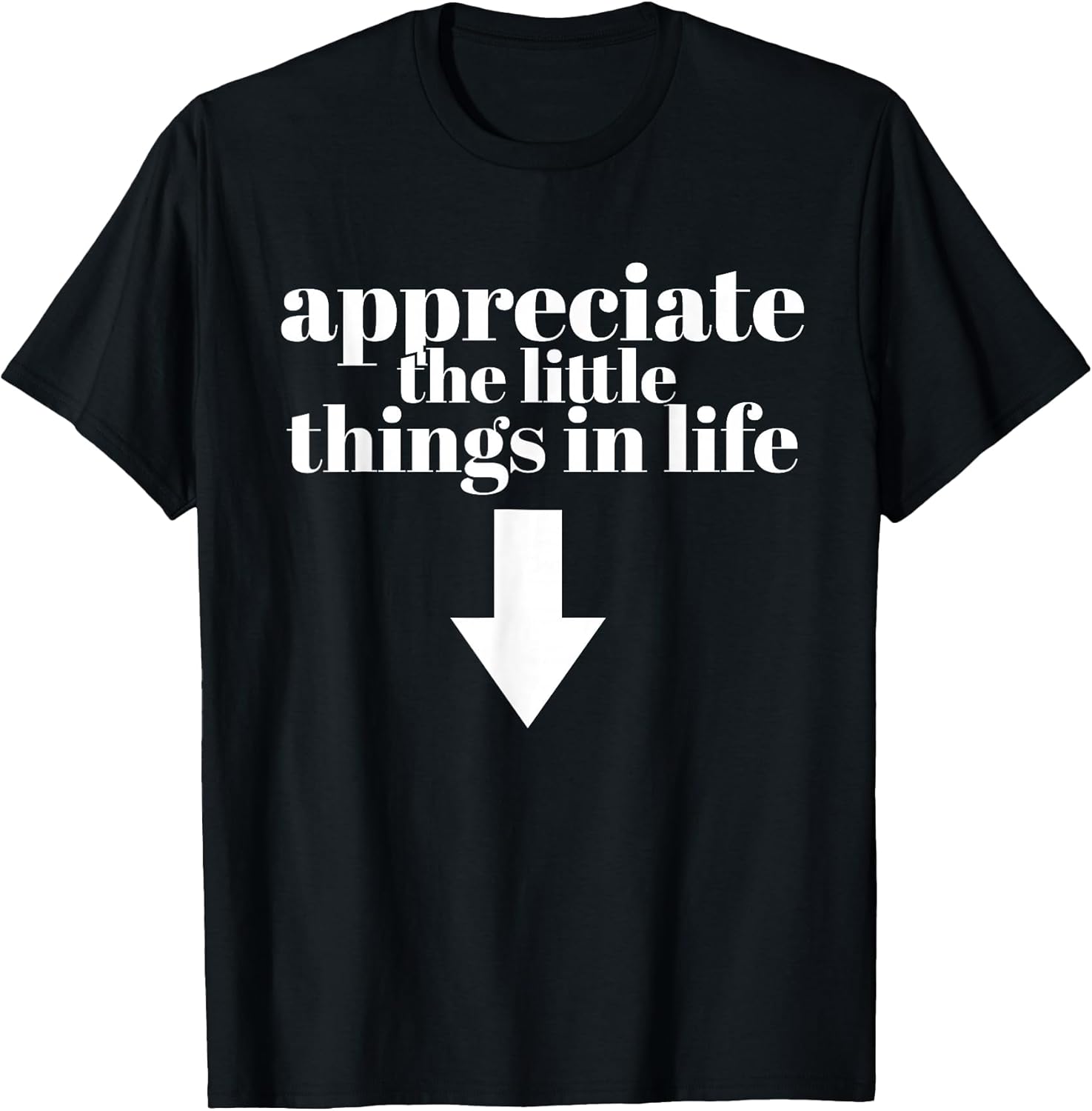 Appreciate The Little Things in Life Arrow Funny Adult Joke T-Shirt