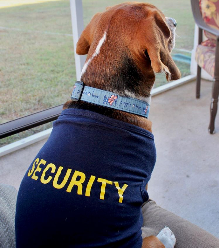 Security Dog Shirt Hoodie, Sweatshirt | InkThreadWorks.com (Image 2)