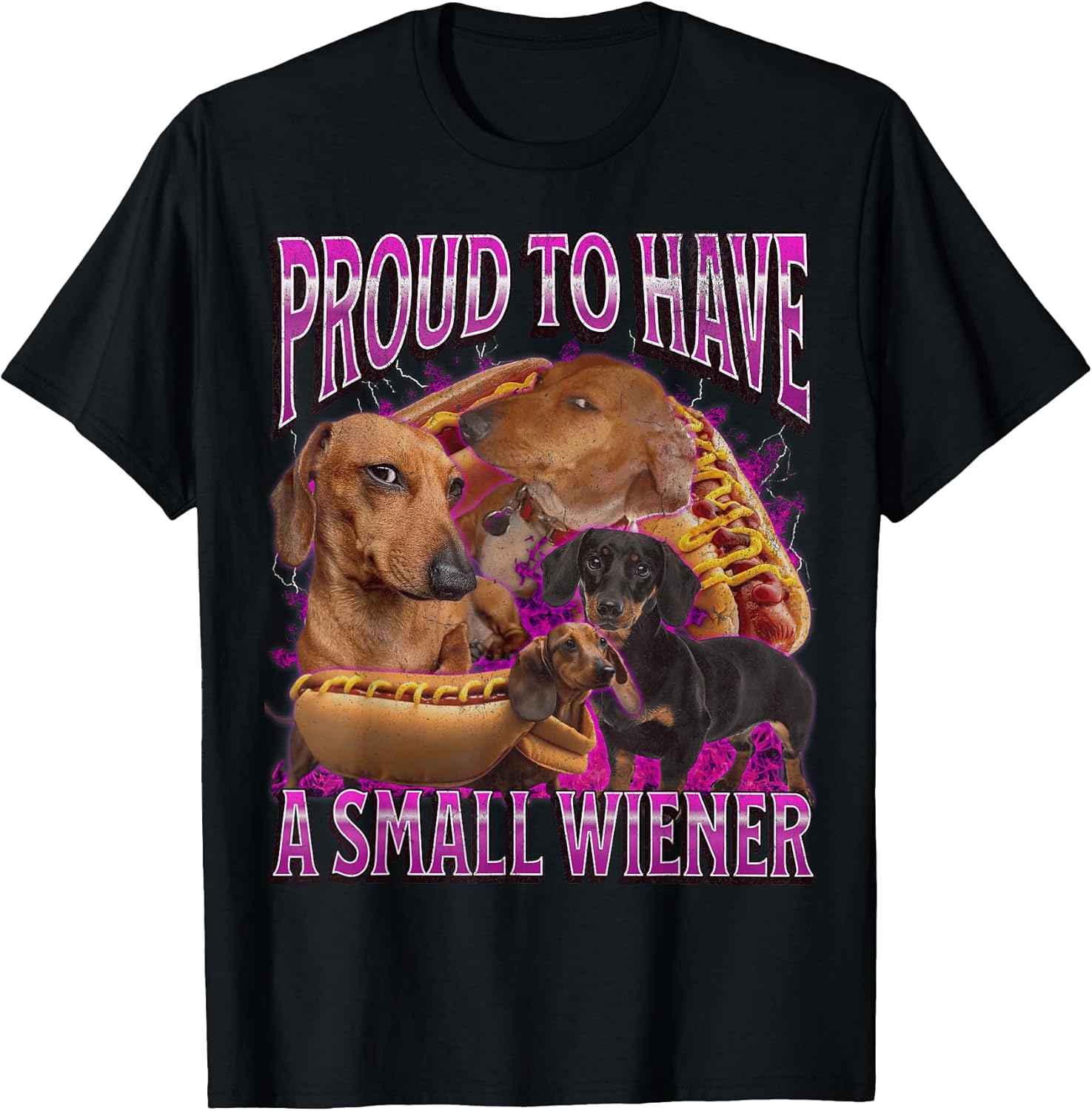 Proud to Have A Small Wiener Funny Offensive Dachshund T-Shirt