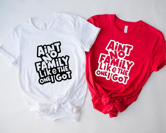 Ain't No Family Like The One Got T-Shirt, Unisex Family Vacation Shirt, Reunion Tee, Gathering Gift Hoodie, Sweatshirt