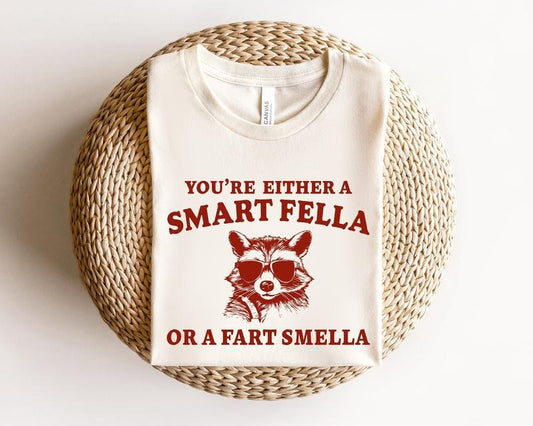 Are You A Smart Fella Or Fart Smella Retro Cartoon T Shirt Hoodie Sweater Weird Hoodie Meme T Shirt Trash Panda T Shirt...