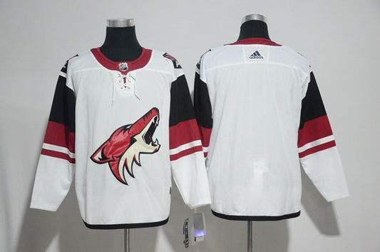 Arizona Coyotes blank
