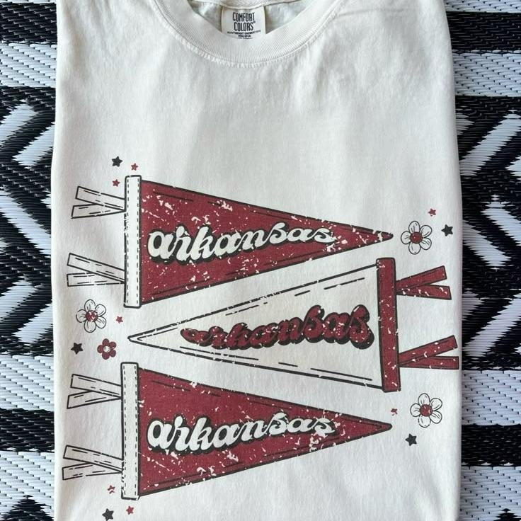 Arkansas Vintage Pennant T-shirt, Retro Arkansas Flag Design, College Fan Shirt, Arkansas Sports Apparel, Arkansas University Graphic T-shirt, University of Arkansas Tee