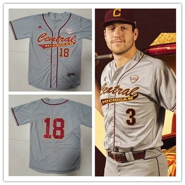 Central Michigan Chippewas Custom Gray Baseball Game Jersey