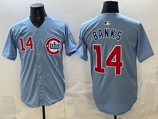 Chicago Cubs #14 Ernie Banks