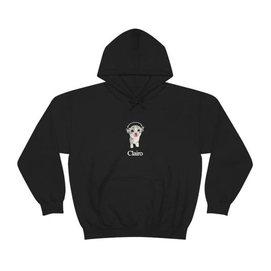 Clairo Cat Hoodie Fan Merch Cute Cat Listening to Music Funny Hoodie, No-Fade Colors, Wash After Wash, Must-Have Basic,...