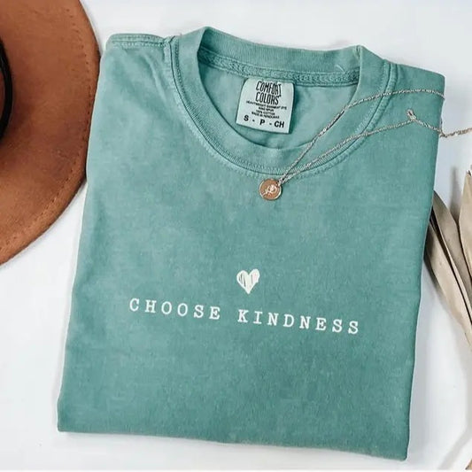 Comfort Colors Choose Kindness Kind Teacher Shirt For Work, Teacher Appreciation Gift Kindness Oversized Tee, Cute...