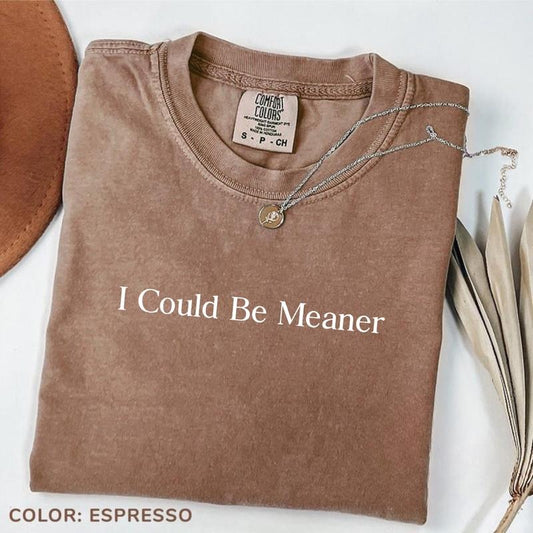 Comfort Colors I Could Be Meaner Shirt, Sarcastic Shirt, Sarcasm Tee, Funny Quote TShirt, Funny Humor T-Shirt,