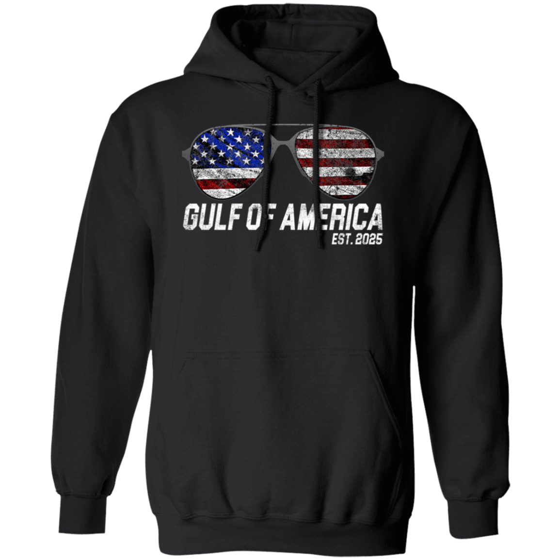 Gulf Of America Est 2025 Retro Vintage Sunglasses Hoodie