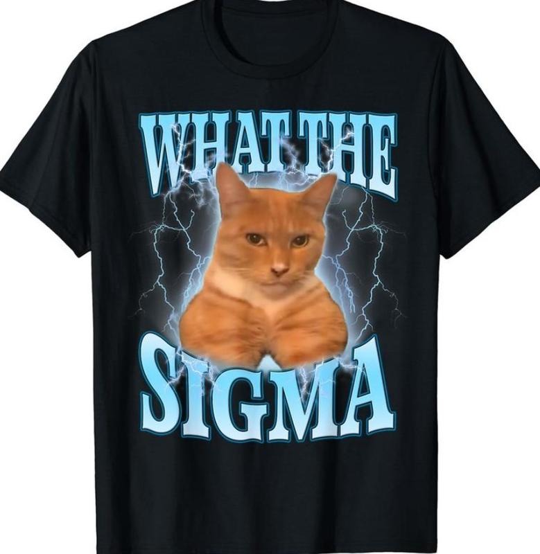 ERM, What The Sigma Meme Cat Ironic Brainrot Y2K T-Shirt